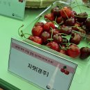 어등농장 이미지