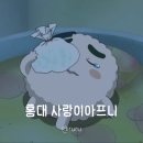 (사)모두사랑 | 잎사귀에서 빠꾸당하고 홍대 사랑이아프니 사랑니 발치한 왕추천 후기 | 발치 경과 붓기 음식