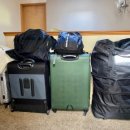 독라이프 이미지