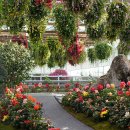 [경기] 가평 베고니아새정원 이미지