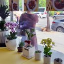 보드레갈비찜 이미지