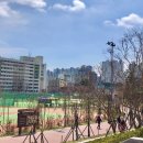 구덕운동장 이미지