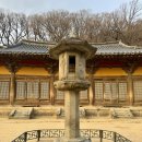 [감개무량] 무량수전과 소조여래좌상