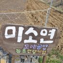 미소연 이미지