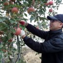 대흥농장2 이미지