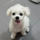 꽃개미용실 이미지