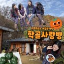 공주 밤나무골 황토집 | 공주 숙소 학골사랑방 촌캉스 즐기고 힐링한 후기