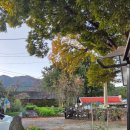 느티나무펜션 이미지