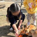 금빛유치원 이미지