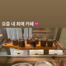 니뚜 이미지