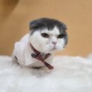 쁘니살롱