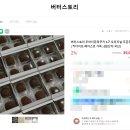 아담스토리 | 두바이쫀득쿠키 버터스토리 두쫀쿠 택배 주문 비교 후기