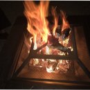 트랜드위드 이미지