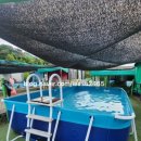 애견동반 멍멍아노올자 이미지