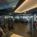 비바휘트니스 이미지