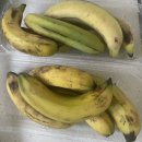 경남플러스마트 | [임신부의 일상] 경남해피맘 친환경 농산물 꾸러미 받아 본 후기