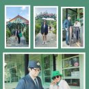 정선 레일바이크.. 이미지