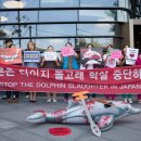 Korea to ban import of cruelly poached endangered animals 이미지