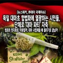 국제투데이뉴스