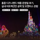 홍콩안경 | 홍콩 디즈니랜드 태풍 운영일 후기, 실내 어트랙션만 공략 및 모멘터스 관람