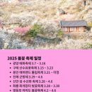 2025년 3월 11일 화요일, 신문을 통해 알게 된 것들