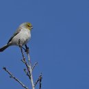 공지천왕갈비 애막골점 이미지