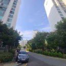 분당-115 이미지