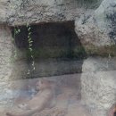 전주코아의원 | 2024.8.4 서울어린이대공원 방문기