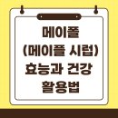 [슬기로운 의약생활]건강한 생활에 꼭 알아야 할 의약상식 | 메이폴(메이플 시럽) 효능과 건강 활용법 🍁