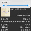 성주군 금수면 티스토리