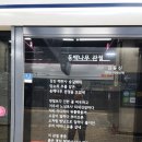 동백나무 관절 - 김동신 이미지