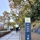 제26회 순천만 갈대축제(가을) | 여수 향일암 • 순천만습지 갈대축제 풍경을 담다 ( 2025. 11.9 )