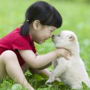 뷰티반려문화 이미지