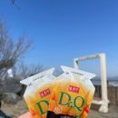 광교산 체육공원 | 수원 광교산 정상 등산코스 추천 광교산체육공원 - 시루봉 최단코스