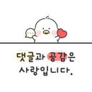 플로맨스 이미지
