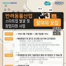 17 이미지