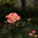 엑스포로539번길 이미지