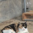 주렴농장 이미지