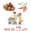 죽암대추농원