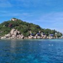 남해 회 해산물 이미지