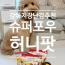 대형견 노즈워크 장난감 추천! 슈퍼포우 허니팟 내돈내산 후기 🐶🍯