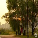 영등포관광정보센터 이미지