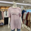 2413 이미지