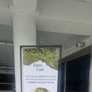 창원 귀산 열대어카페 아쿠아모스에 가본 후기
