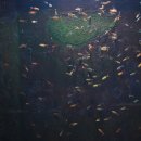 마린파크 이미지