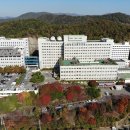 성가롤로병원 이미지