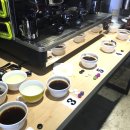 바리스타  (화)(자격증반) 이미지