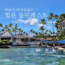 돌핀짐(Dolphin Gym) | 하와이 빅아일랜드 힐튼 와이콜로아 돌핀퀘스트/수영장 이용 후기/외부이용객 요금