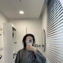 엠지에프두피탈모전문센터 분당점