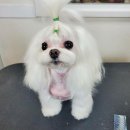 예뻐지개 이미지